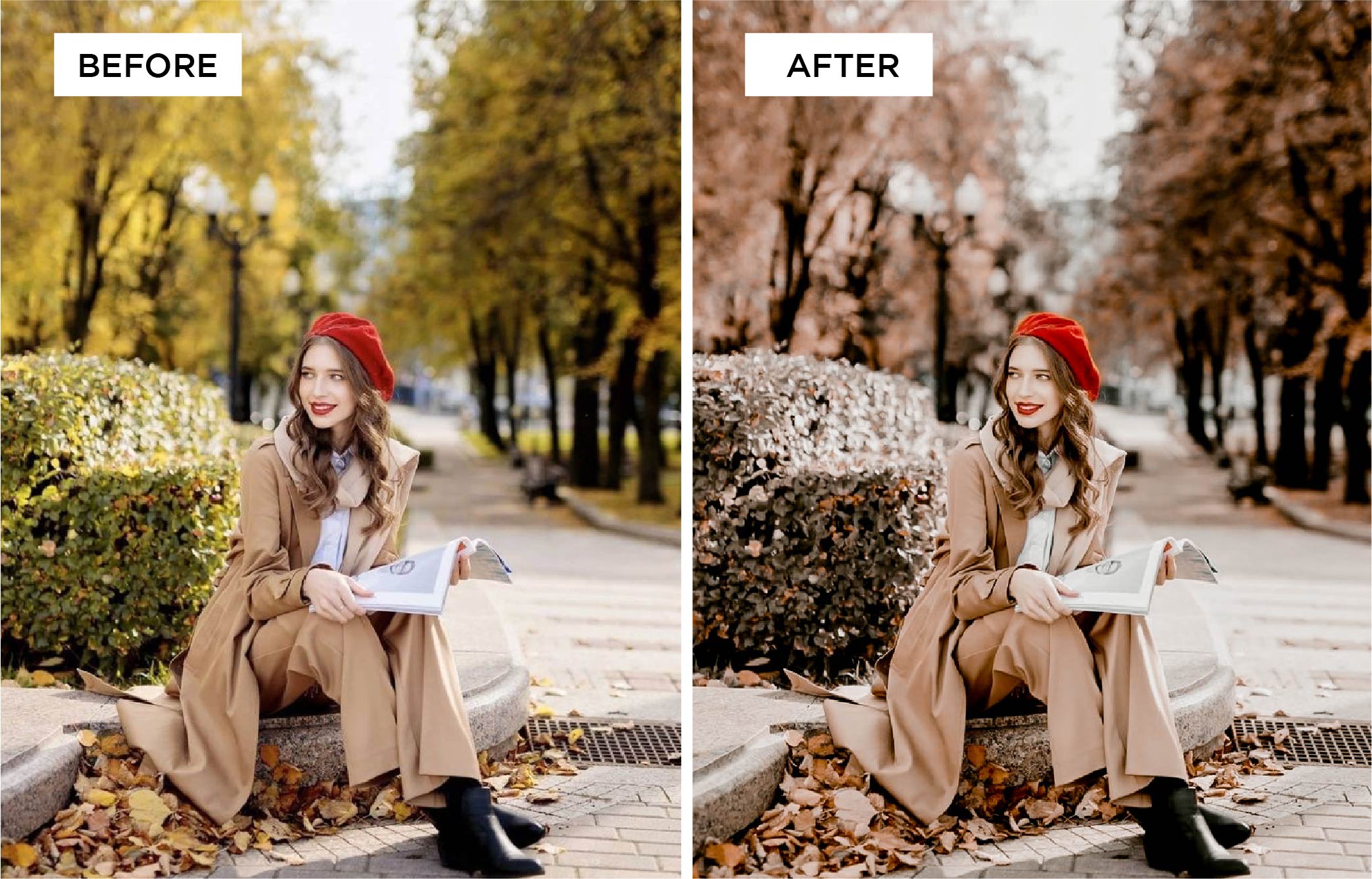 November Lightroom Presets, Addons GraphicRiver